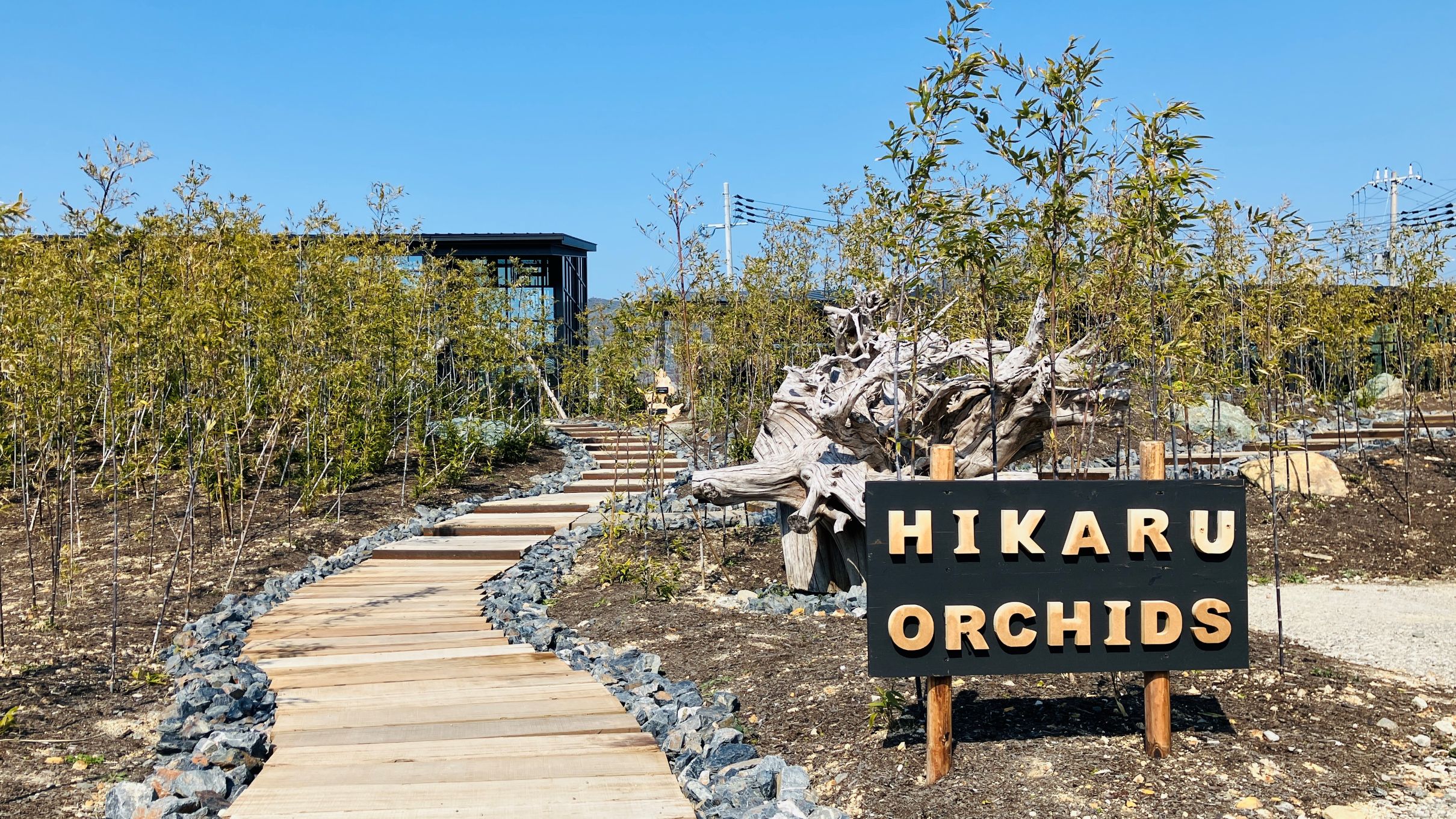 有田のええとこみっけ【ヒカル・オーキッド直営ギャラリー&ショップ